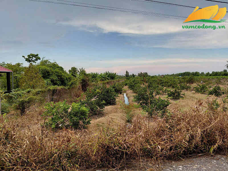 27.352.05 12313m2 đất vườn MT Kênh Rạch Bần